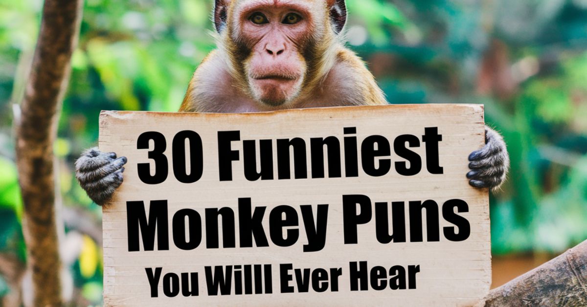 30 Funniest Monkey Puns You Will Ever Hear