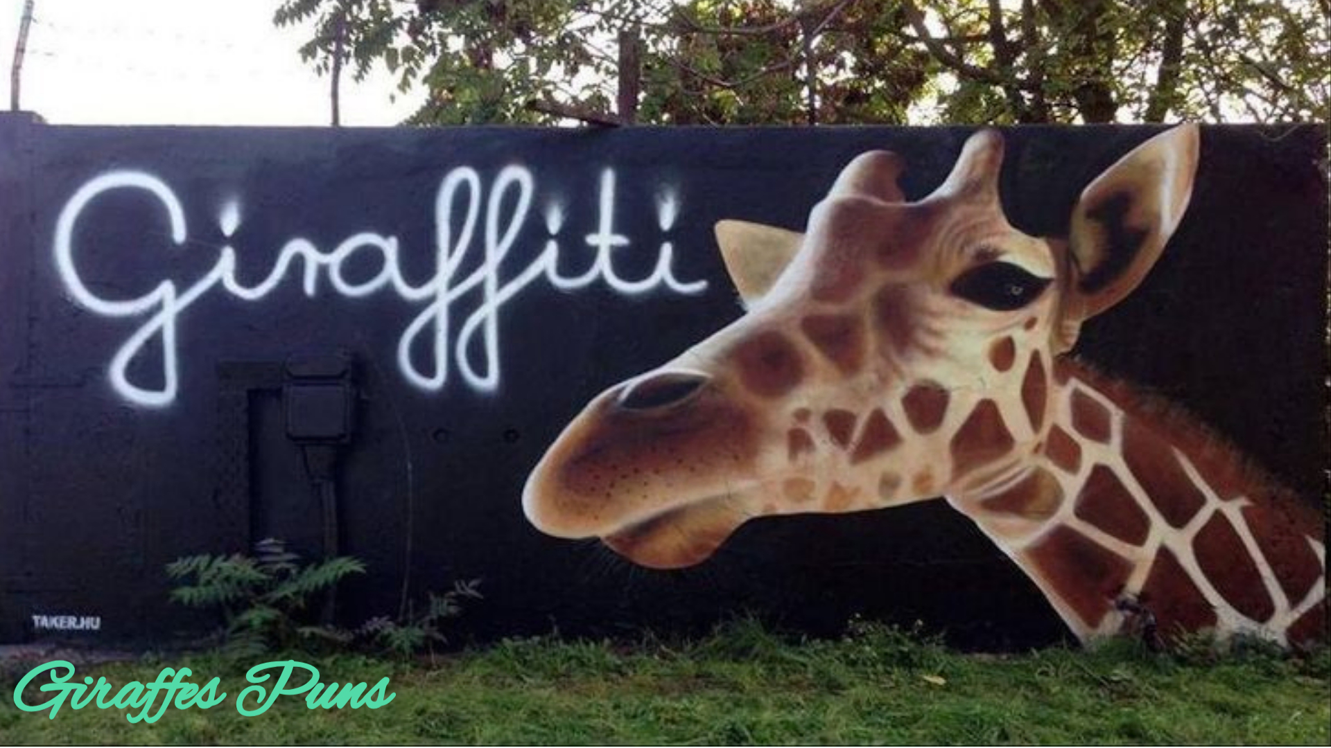 Funny Giraffes Puns and Jokes: Giraffes You Whimsical