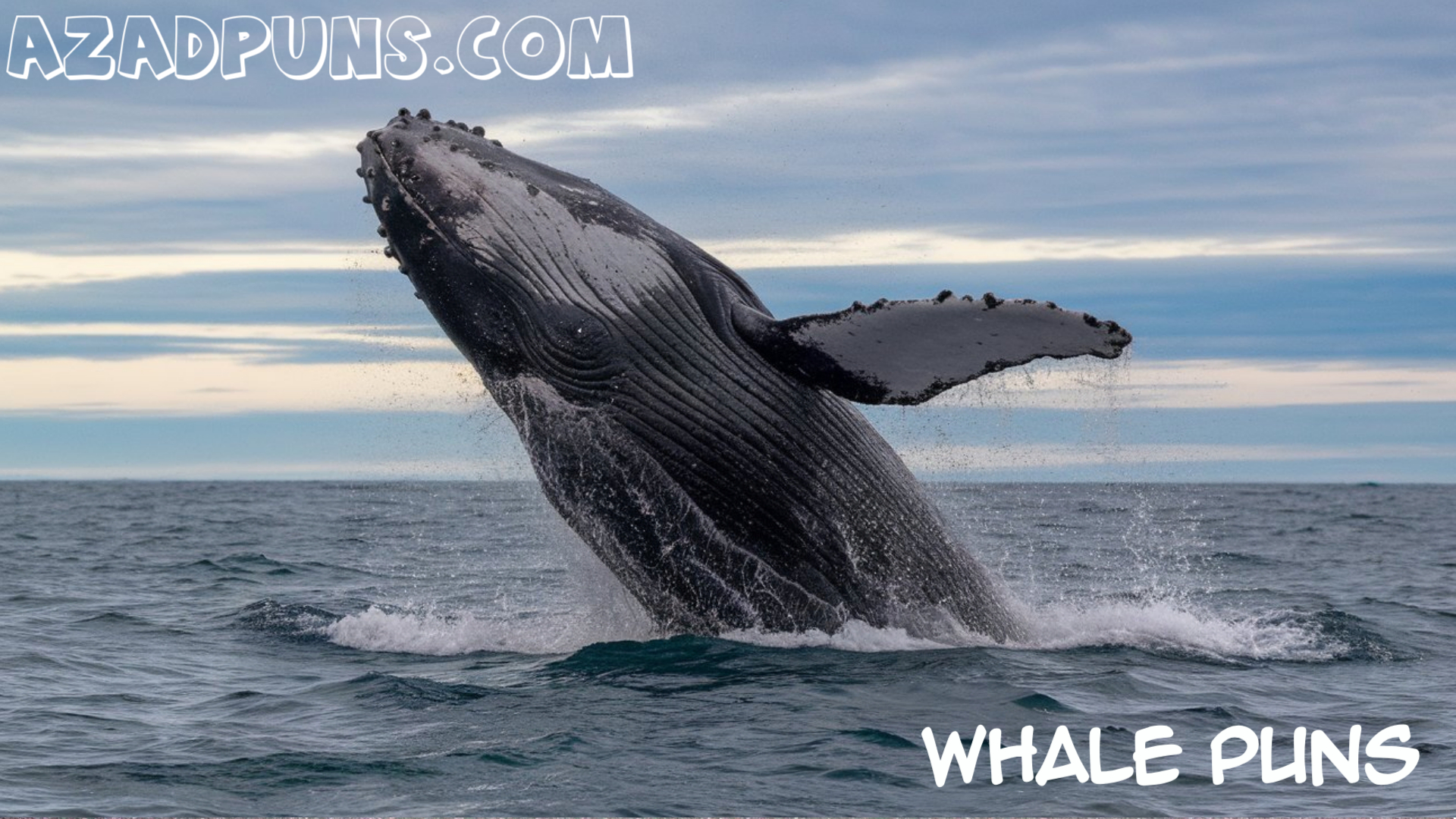 Unforgettable Whale Puns That Make a Splash