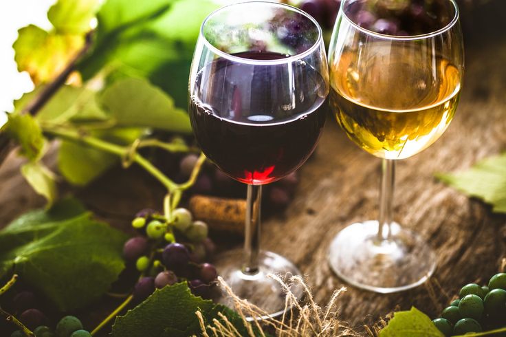 Chardon-Hey, These 40 Wine Puns Will Put You in a Grape Mood!