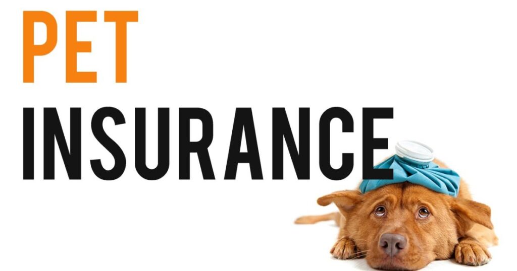 Pet Insurance