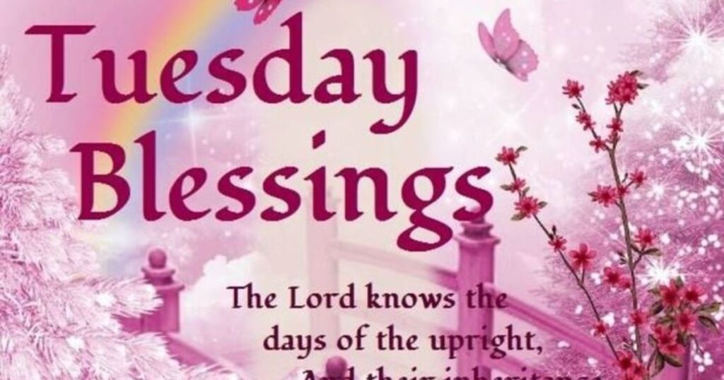 Tuesday Blessings Quotes